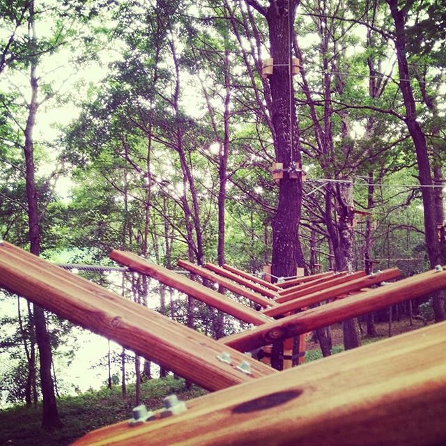Passerelle en bois d'un parcours accrobranche, vue plongeante sur le lac